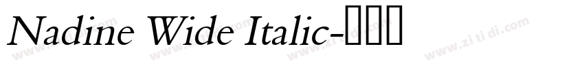 Nadine Wide Italic字体转换